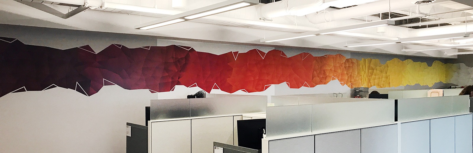 Trion Corporate Wall Graphics Header