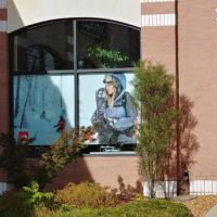 Window graphic for snowboarding sportswear