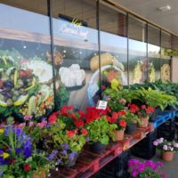 Grocery Store Large Format Window Graphics - Johnny Pomodoros