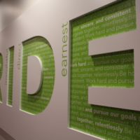 Pride Closeup