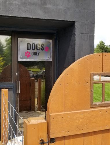 Window Graphics - Troy Clogg Dogs Only